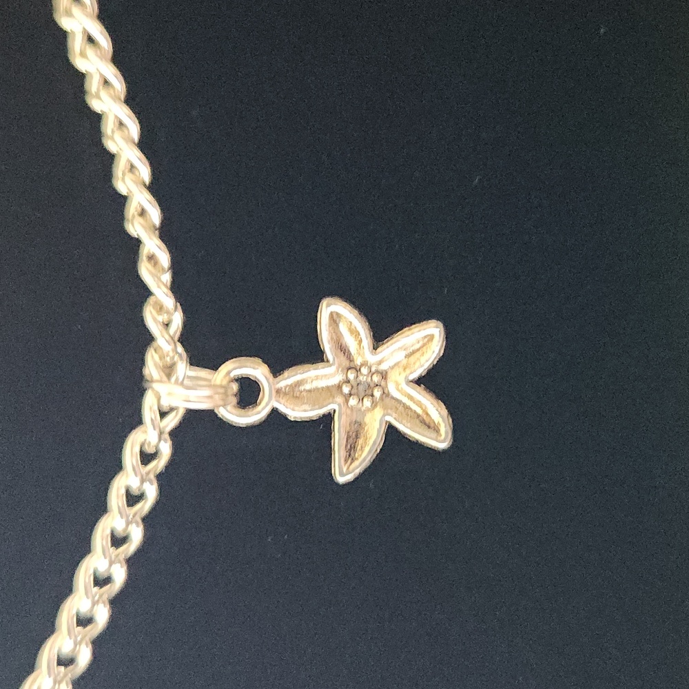 Starfish - Picture 3 of 4